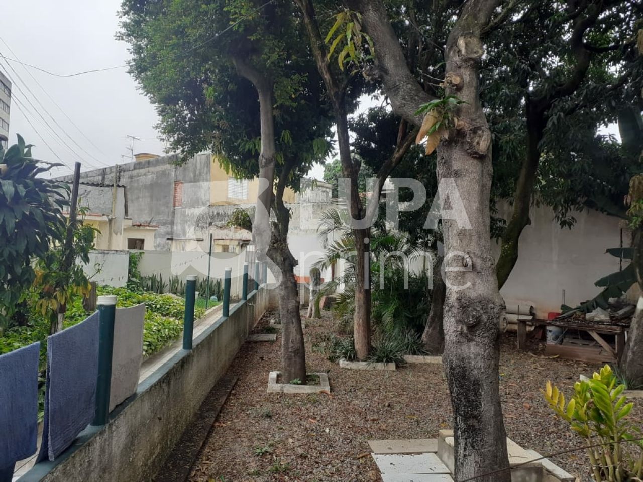 terreno-venda-sao-paulo-vila-maria-baixa-850m2-LM15490