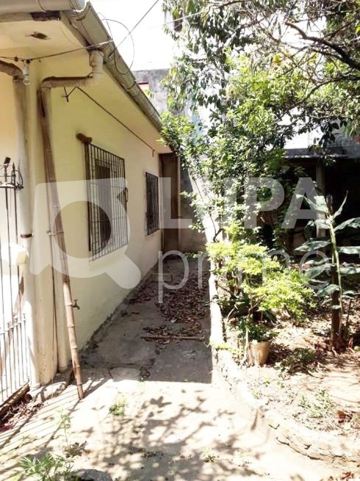 terreno-venda-sao-paulo-vila-maria-alta-344m2-LM15629