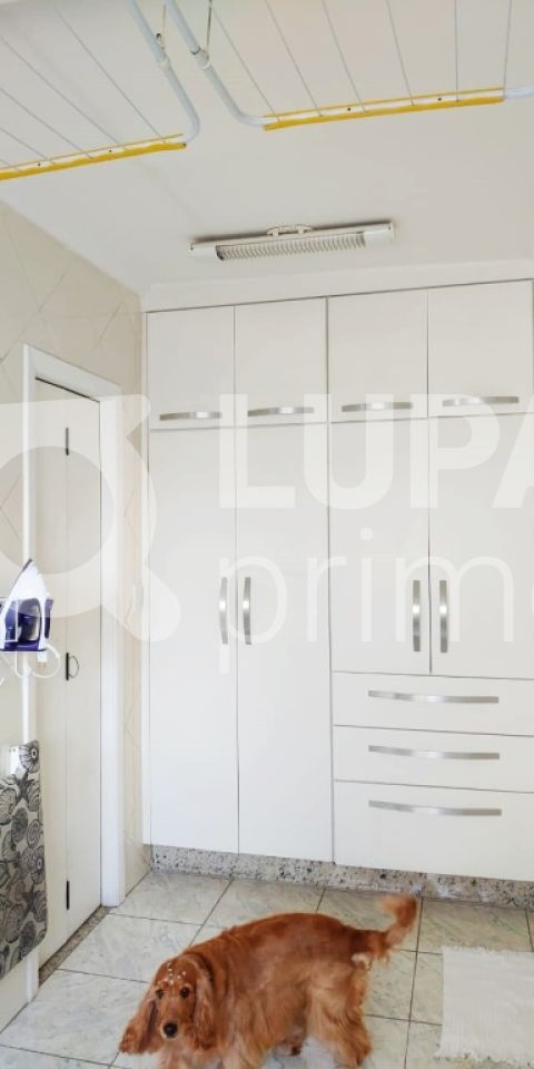 apartamento-venda-sao-paulo-vila-pauliceia-4dormitorios-2suites-6vagas-150m2-LM16514