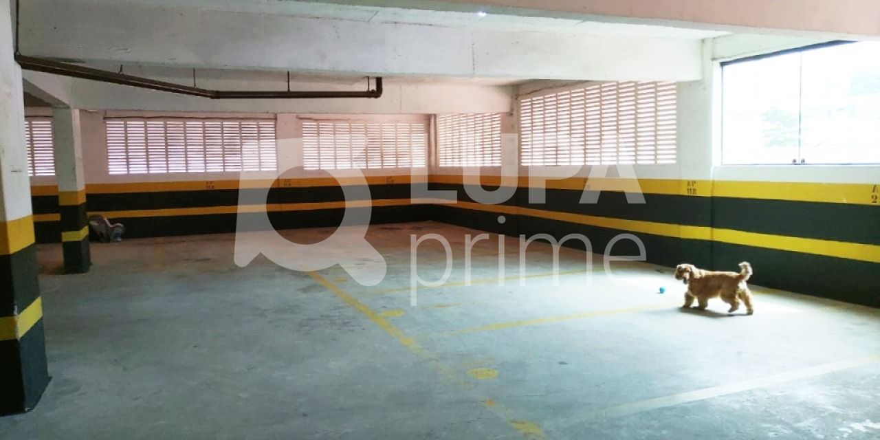 apartamento-venda-sao-paulo-vila-pauliceia-4dormitorios-2suites-6vagas-150m2-LM16514