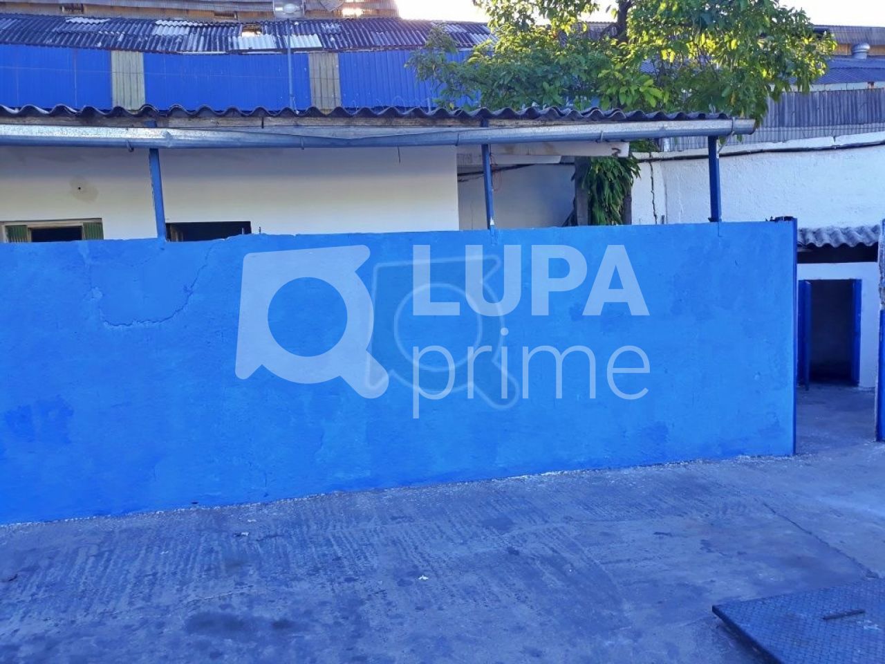 Terreno, 5900 m² - Foto 3