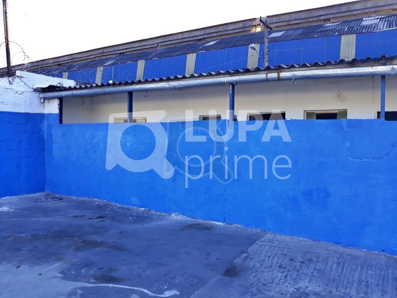 Terreno, 5900 m² - Foto 4