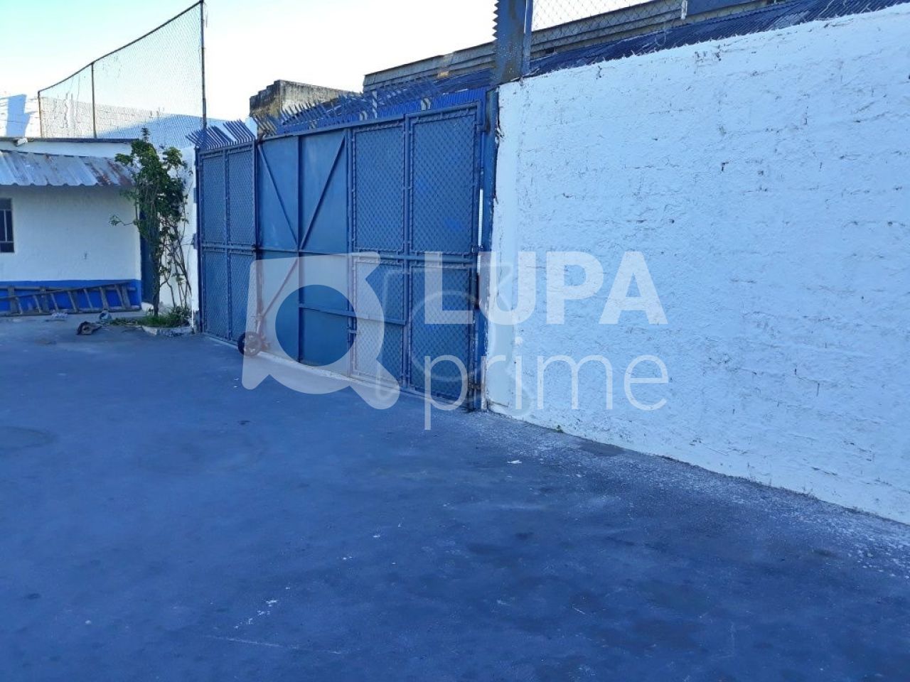 Terreno, 5900 m² - Foto 8