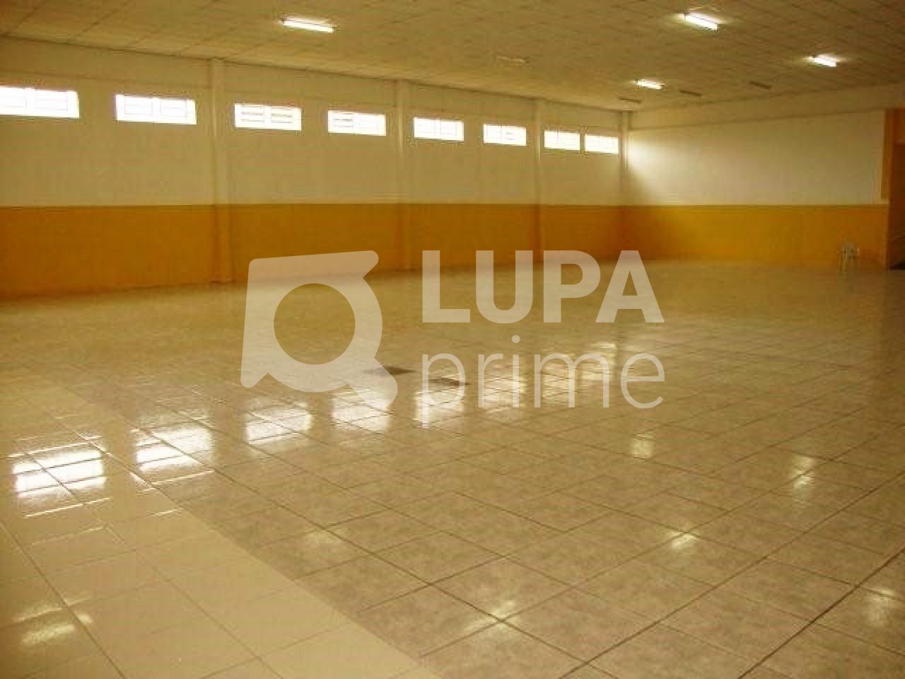 Depósito-Galpão-Armazém à venda, 1310m² - Foto 4