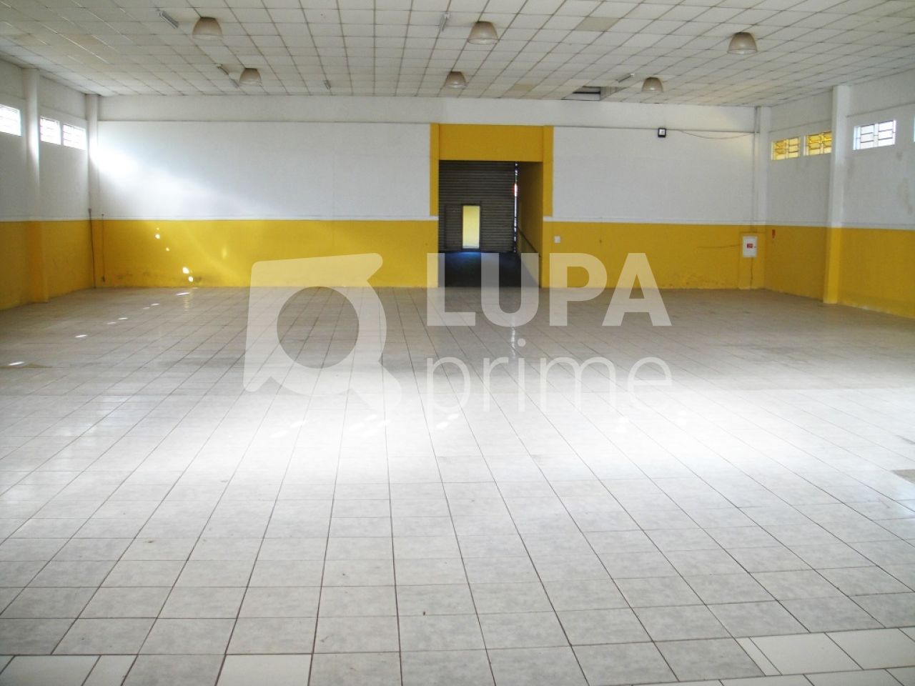 Depósito-Galpão-Armazém à venda, 1310m² - Foto 5