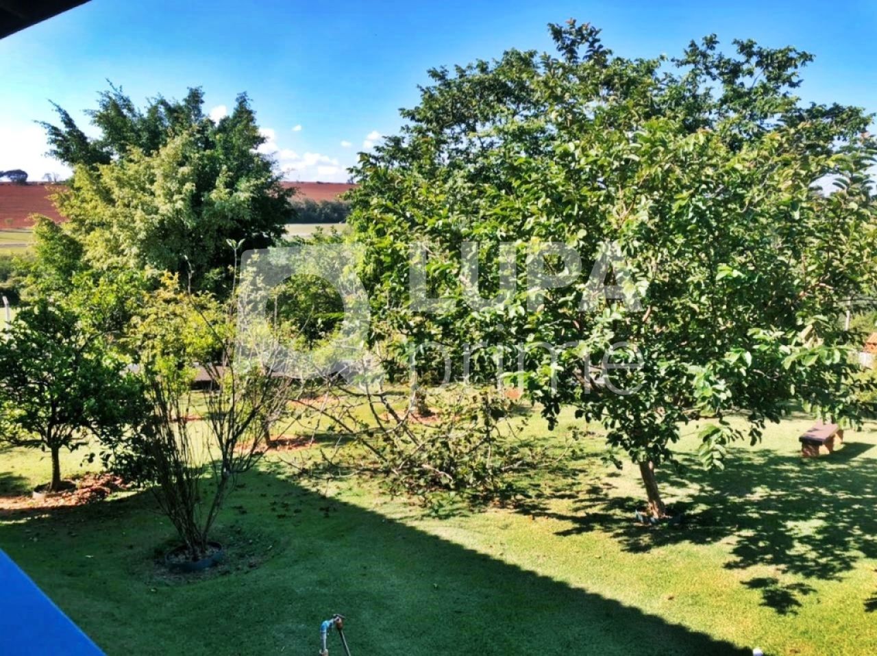 Chácara, 4 quartos, 1920 m² - Foto 3