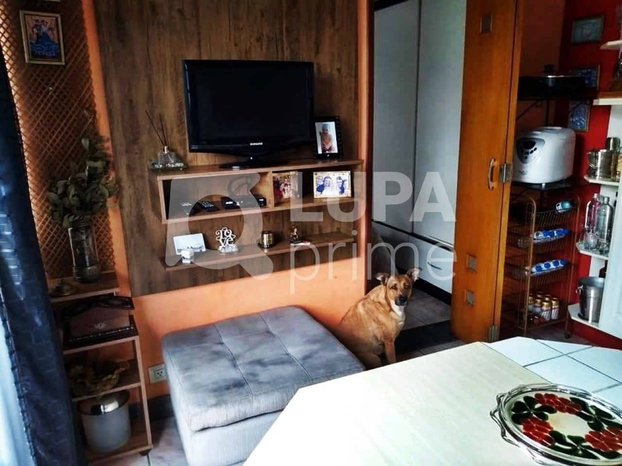 casa-terrea-venda-sao-paulo-tucuruvi-4dormitorios-3suites-5vagas-198m2-LM17278