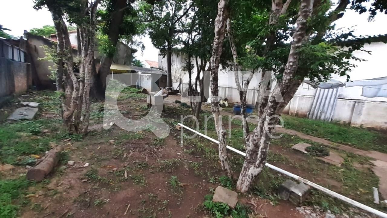 terreno-venda-sao-paulo-santana-780m2-LM17485