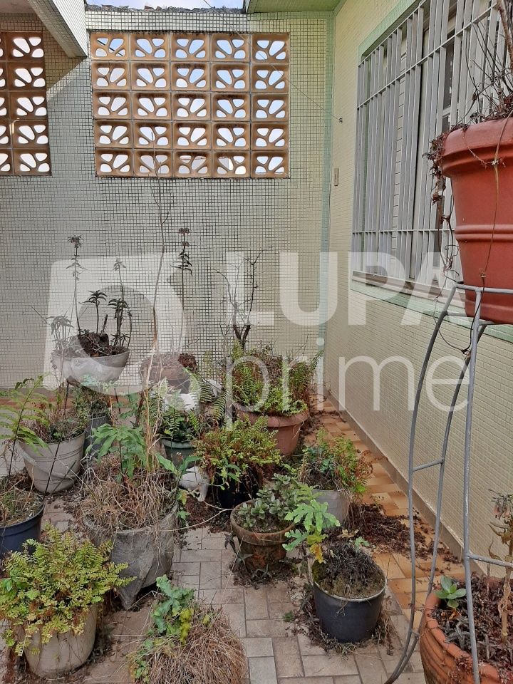 casa-terrea-venda-sao-paulo-vila-formosa-3dormitorios-1suite-4vagas-294m2-LM17676