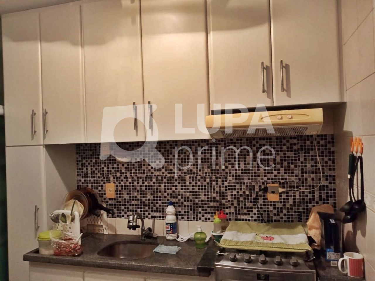 apartamento-venda-sao-paulo-vila-ema-2dormitorios-1vaga-50m2-LM17720