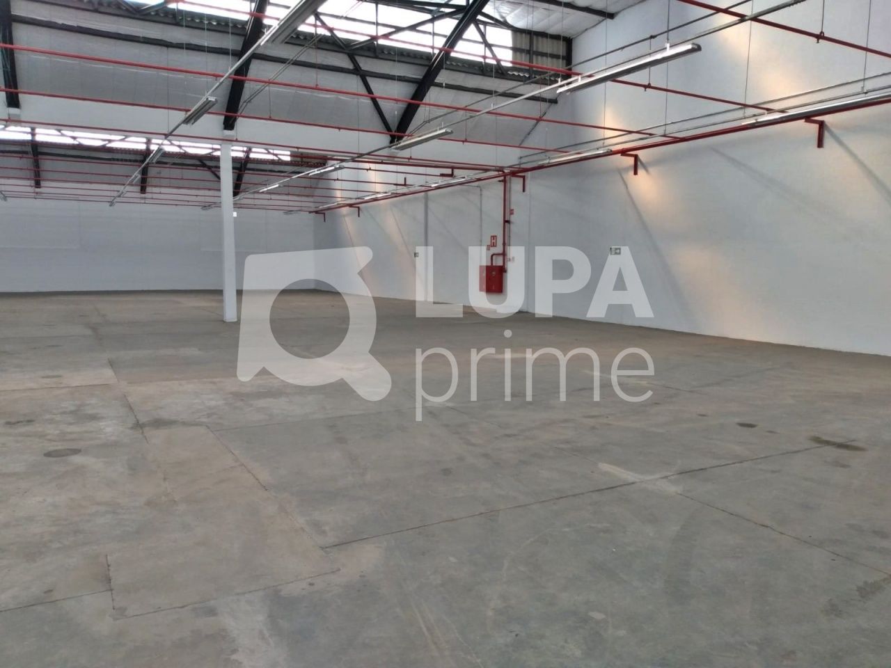 Depósito-Galpão, 1116 m² - Foto 4