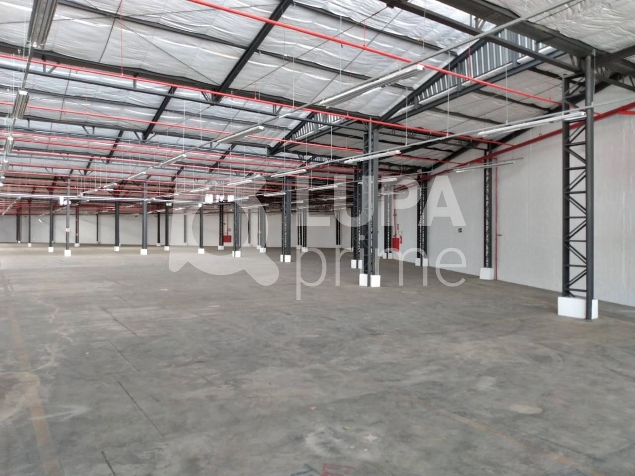 Depósito-Galpão, 1116 m² - Foto 21