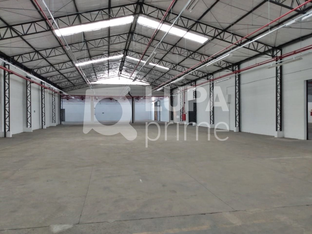 Depósito-Galpão, 3129 m² - Foto 4