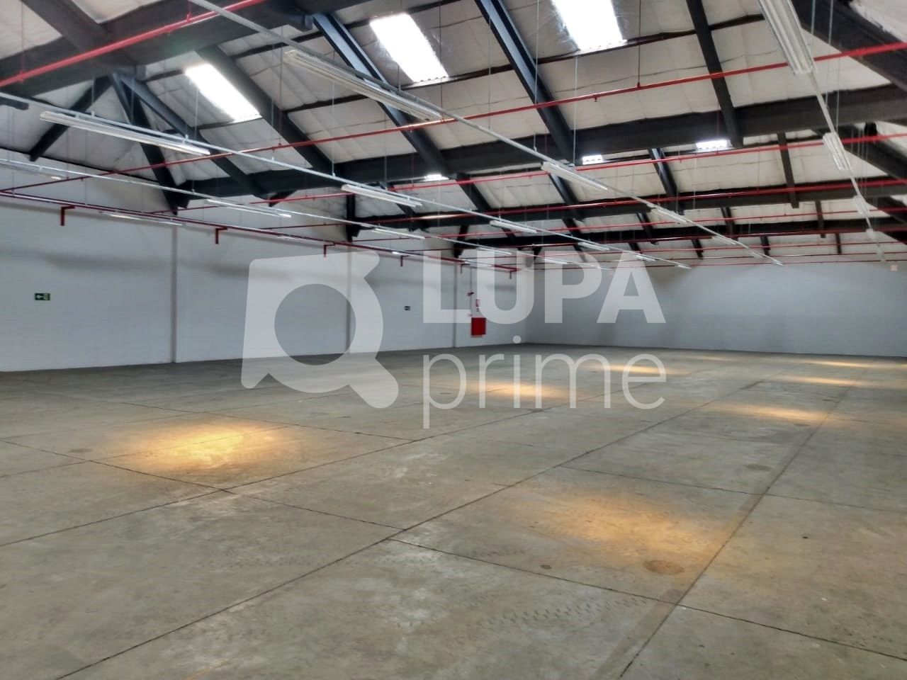 Depósito-Galpão, 3129 m² - Foto 7