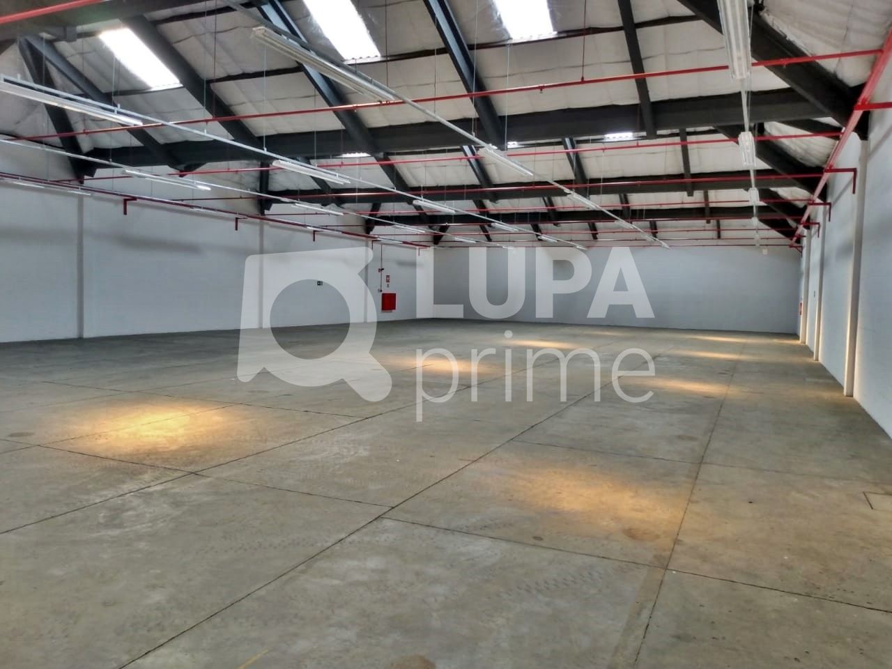 Depósito-Galpão, 3129 m² - Foto 8