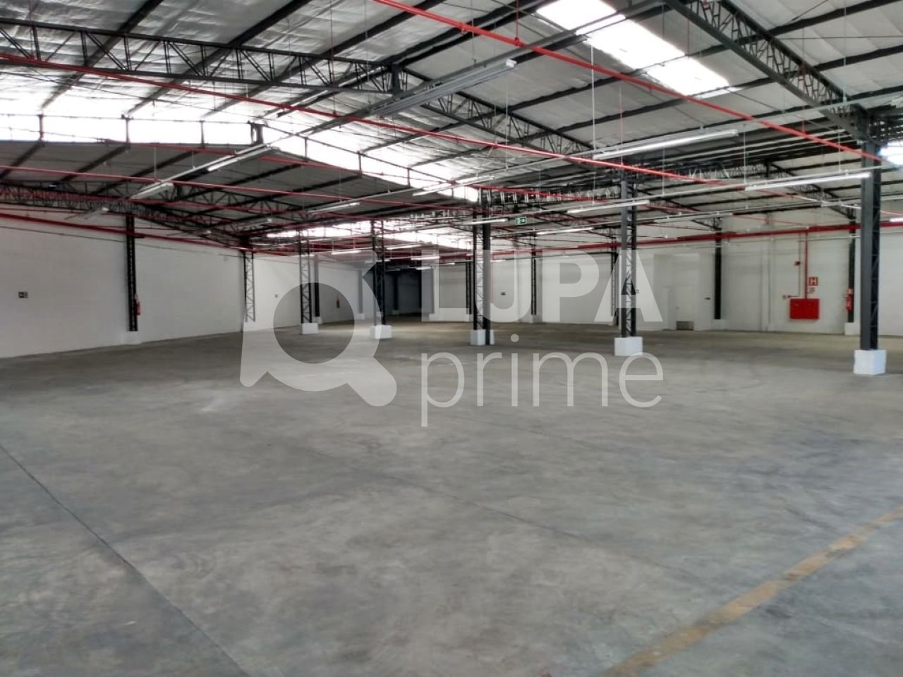 Depósito-Galpão, 3129 m² - Foto 10