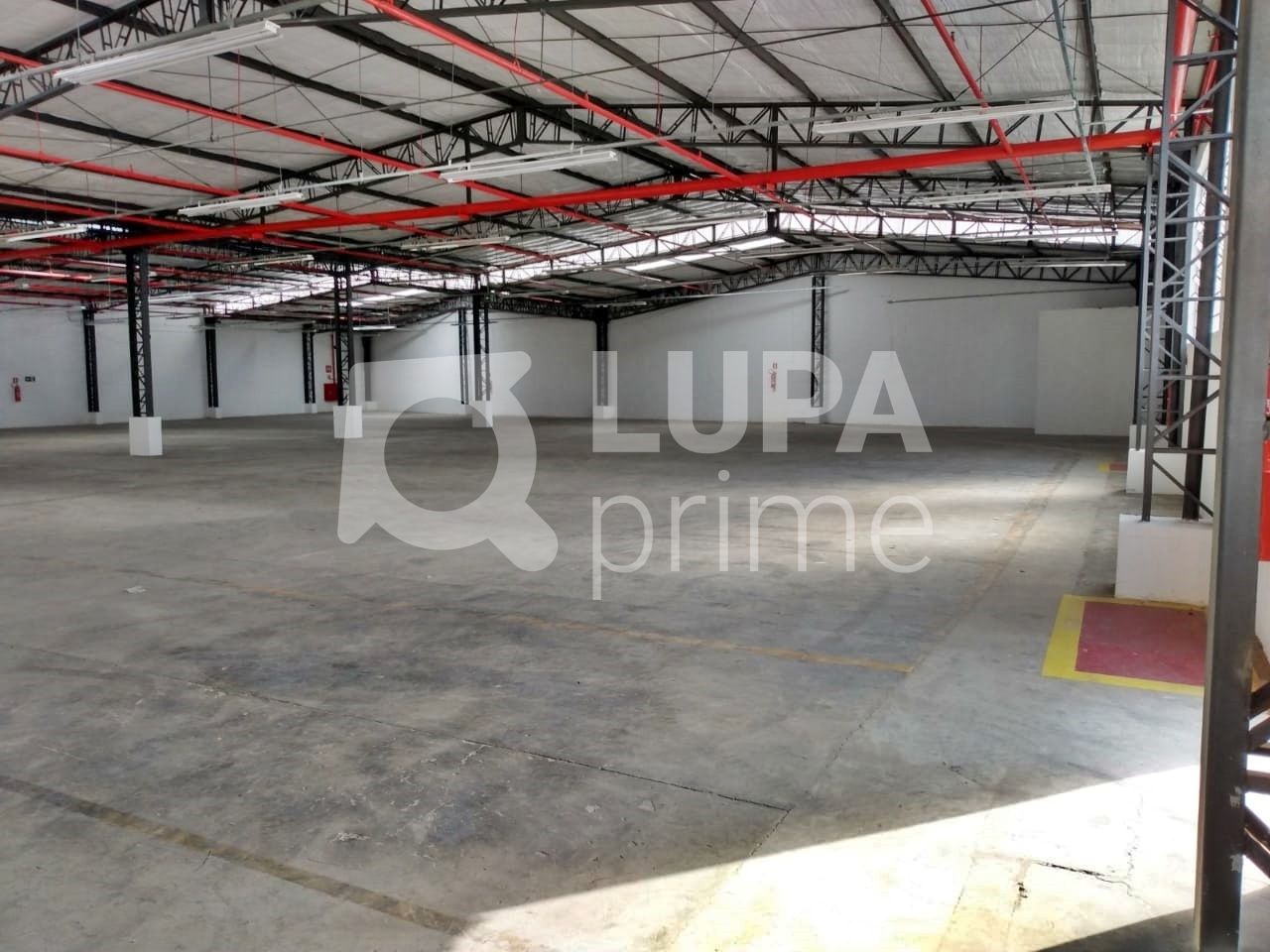 Depósito-Galpão, 3129 m² - Foto 11