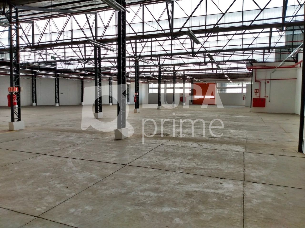 Depósito-Galpão, 3129 m² - Foto 13