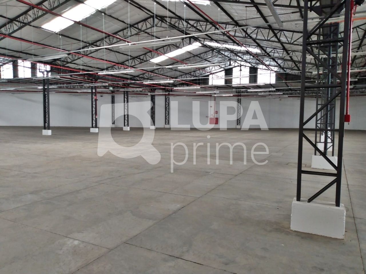 Depósito-Galpão, 3129 m² - Foto 16