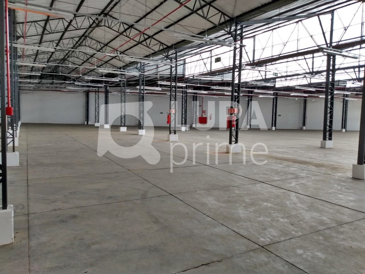 Depósito-Galpão, 3129 m² - Foto 23