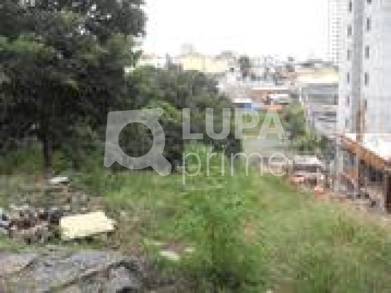 Terreno, 4200 m² - Foto 3