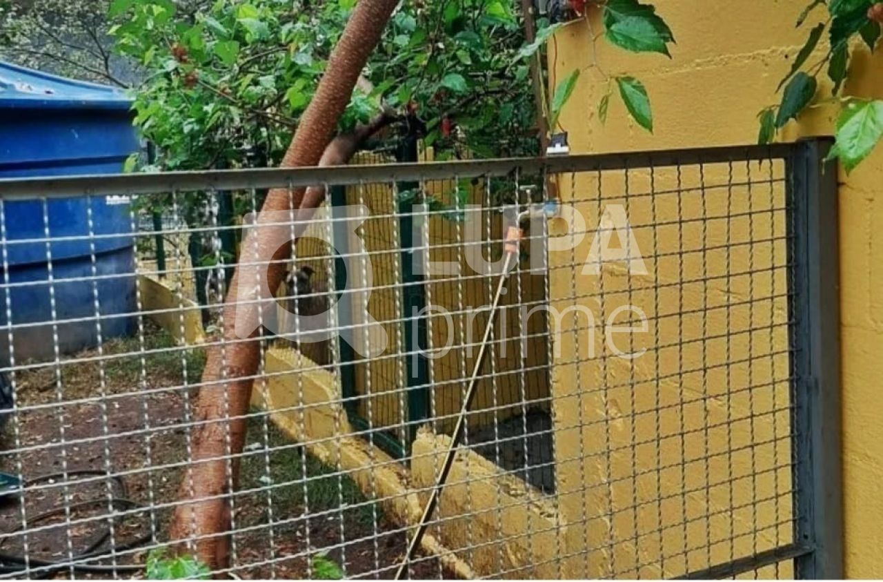 casa-terrea-venda-sao-paulo-mandaqui-3dormitorios-2vagas-112m2-LM18560