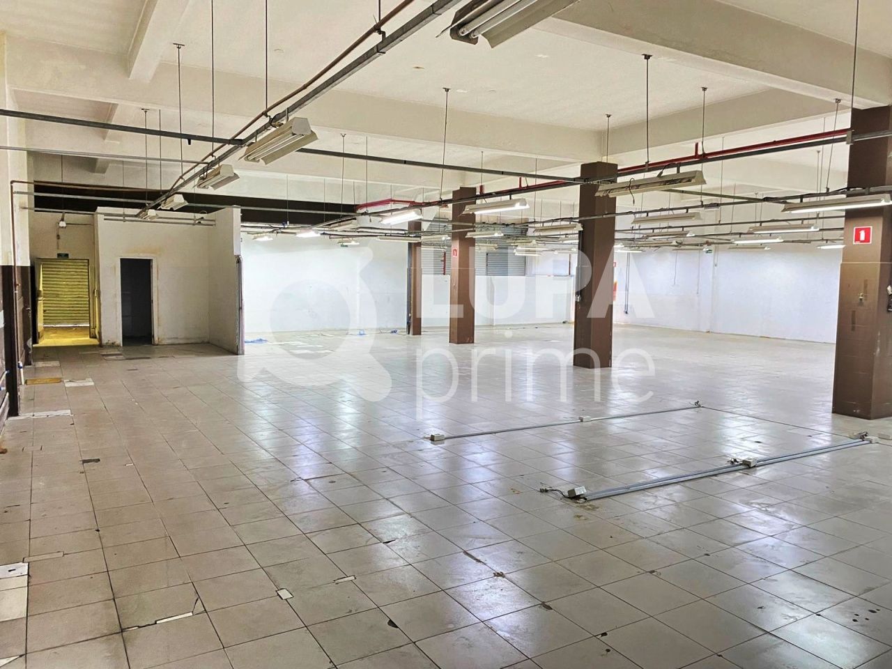 predio-venda-sao-paulo-vila-guilherme-1010m2-LM18614