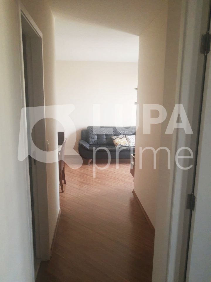 Apartamento à venda com 3 quartos, 65m² - Foto 9