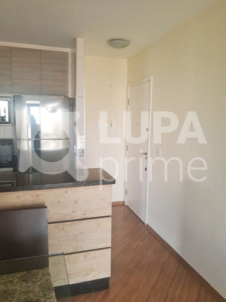Apartamento à venda com 3 quartos, 65m² - Foto 12