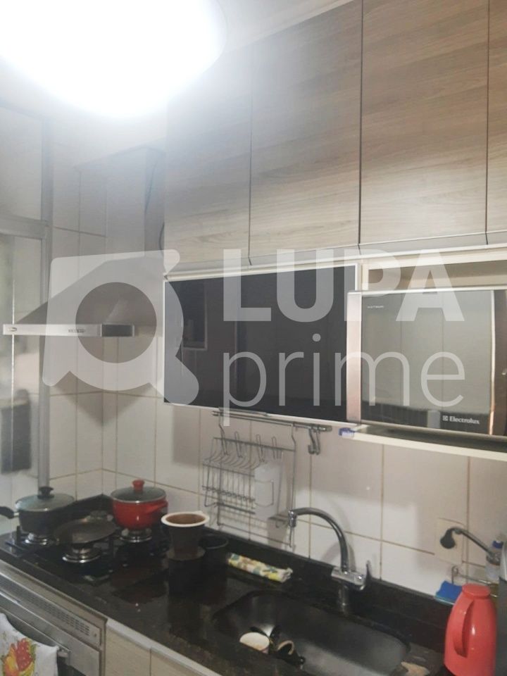Apartamento à venda com 3 quartos, 65m² - Foto 13