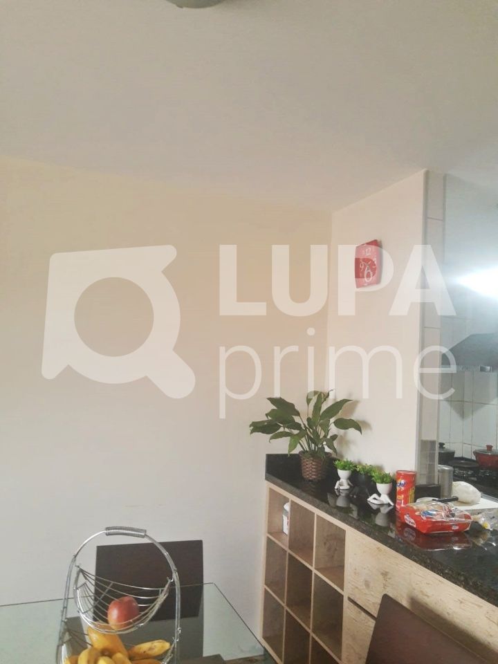 Apartamento à venda com 3 quartos, 65m² - Foto 16