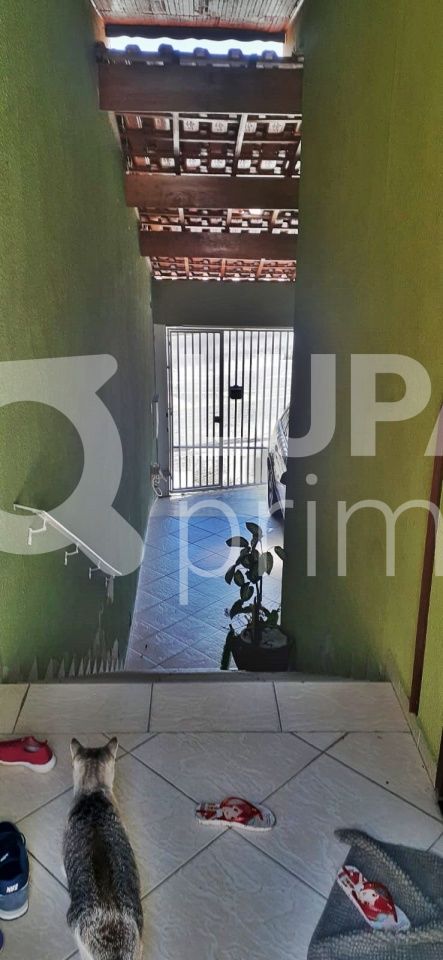 Casa, 3 quartos, 120 m² - Foto 17