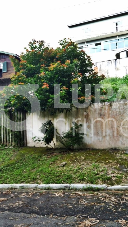 terreno-venda-sao-paulo-barro-branco-300m2-LM18932