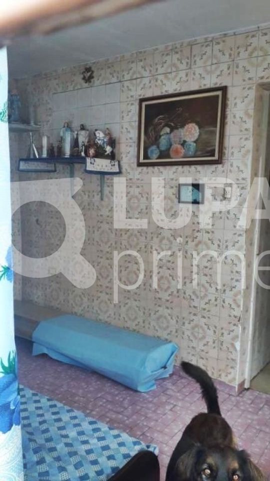 casa-terrea-venda-sao-paulo-casa-verde-alta-4dormitorios-6vagas-358m2-LM19546