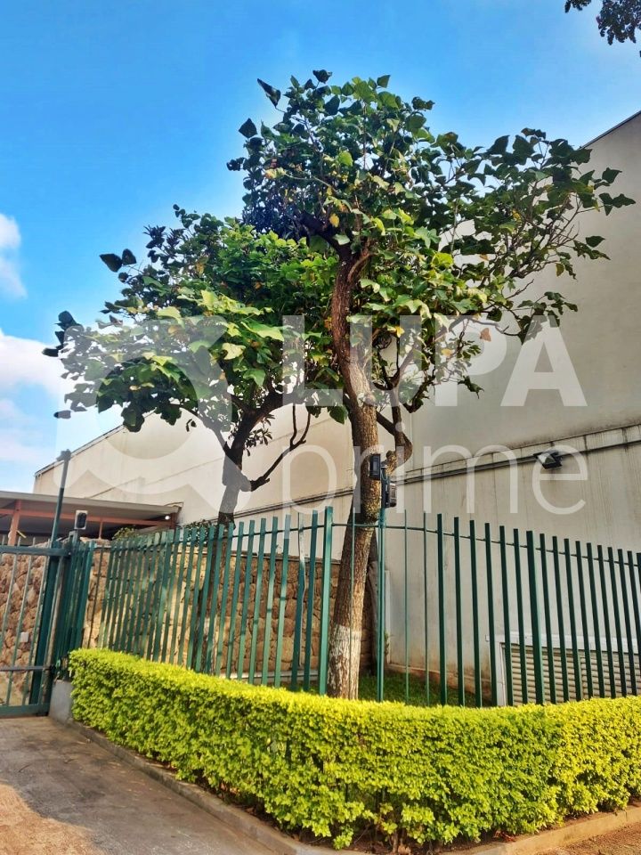 apartamento-venda-sao-paulo-vila-guilherme-3dormitorios-1vaga-90m2-LM19580