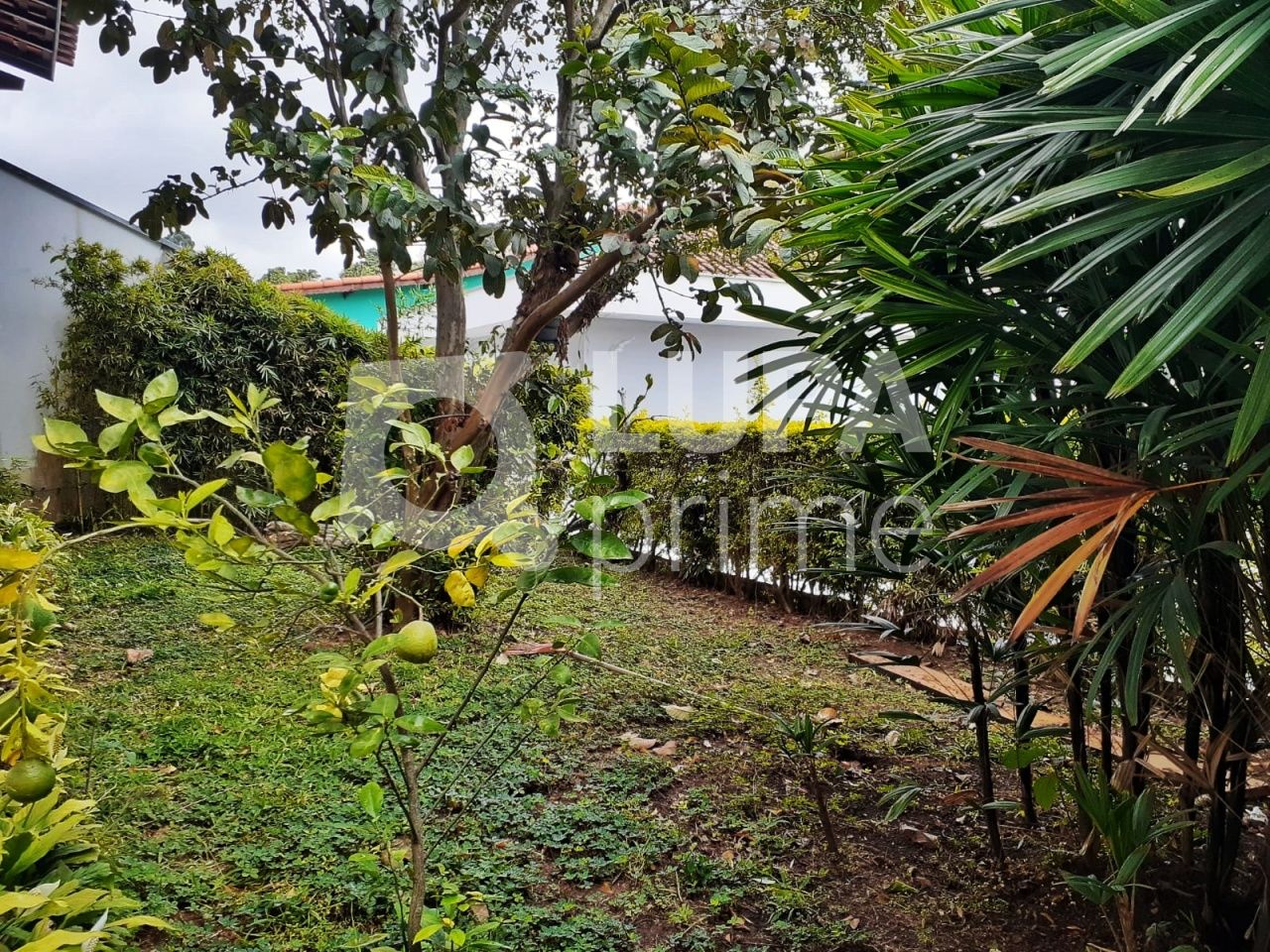 sobrado-venda-sao-paulo-jardim-guapira-3dormitorios-2suites-3vagas-163m2-LM19585