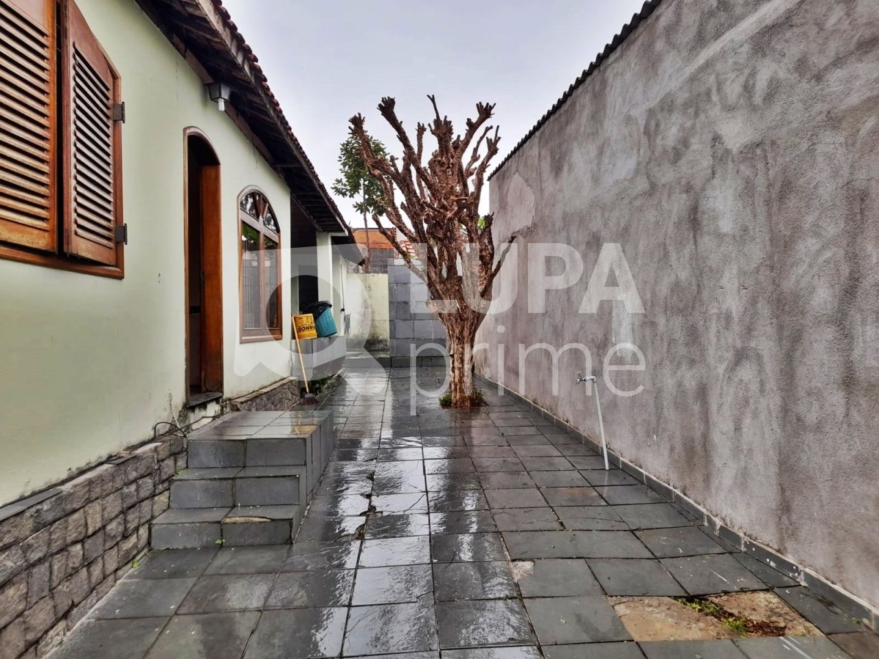 casa-terrea-venda-sao-paulo-vila-maria-alta-1dormitorio-1vaga-315m2-LM19616