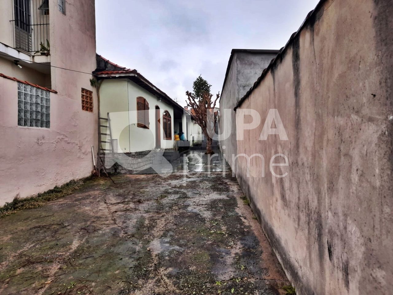 casa-terrea-venda-sao-paulo-vila-maria-alta-1dormitorio-1vaga-315m2-LM19616