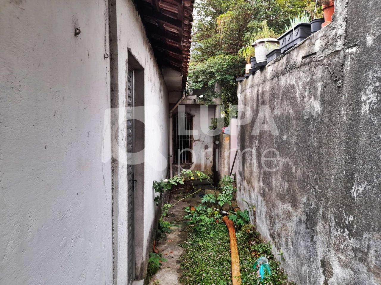 casa-terrea-venda-sao-paulo-vila-maria-alta-1dormitorio-1vaga-315m2-LM19616