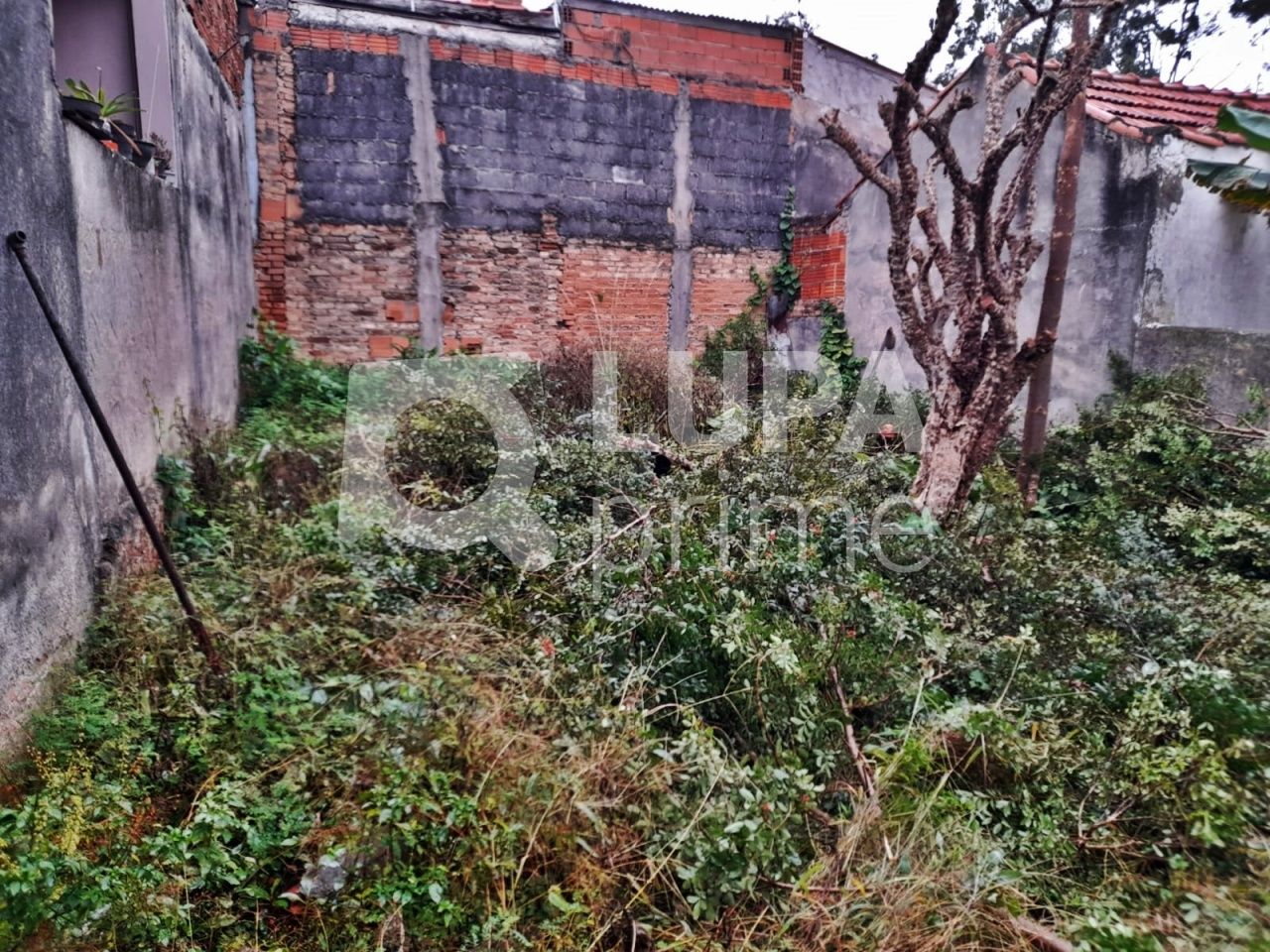 casa-terrea-venda-sao-paulo-vila-maria-alta-1dormitorio-1vaga-315m2-LM19616