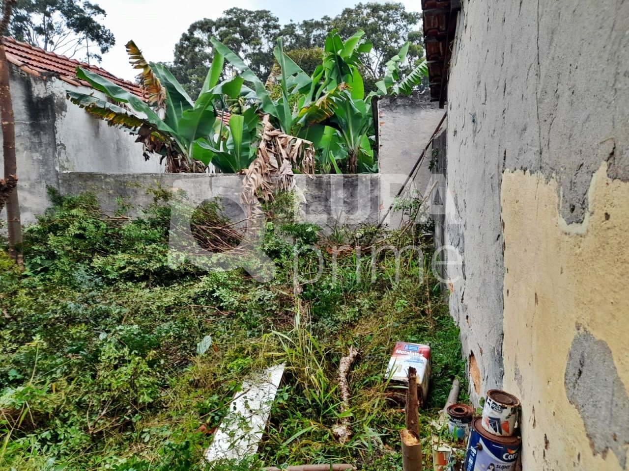 casa-terrea-venda-sao-paulo-vila-maria-alta-1dormitorio-1vaga-315m2-LM19616