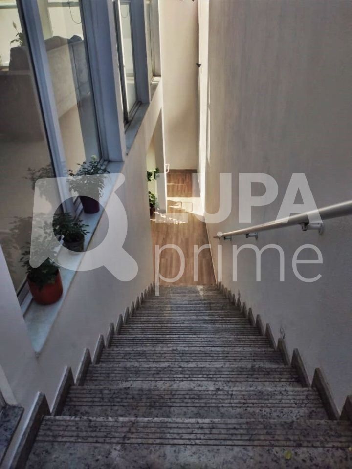 sobrado-venda-sao-paulo-vila-maria-alta-3dormitorios-1suite-4vagas-238m2-LM19649