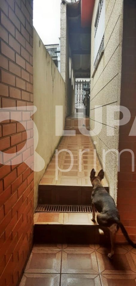 casa-terrea-venda-sao-paulo-vila-maria-alta-4dormitorios-2vagas-156m2-LM19841