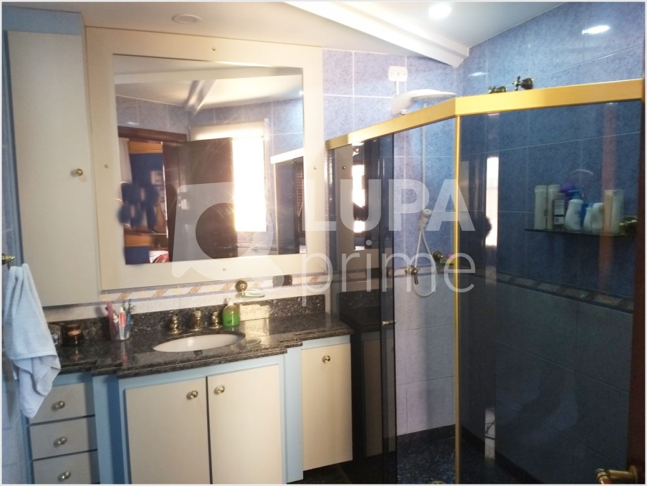 sobrado-venda-sao-paulo-vila-maria-alta-4dormitorios-4suites-10vagas-320m2-LM1985