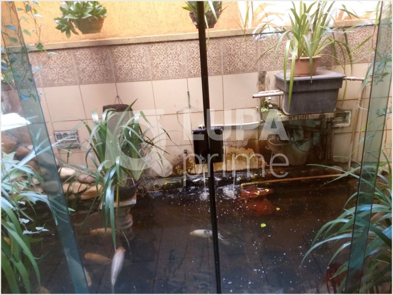 sobrado-venda-sao-paulo-vila-maria-alta-4dormitorios-4suites-10vagas-320m2-LM1985