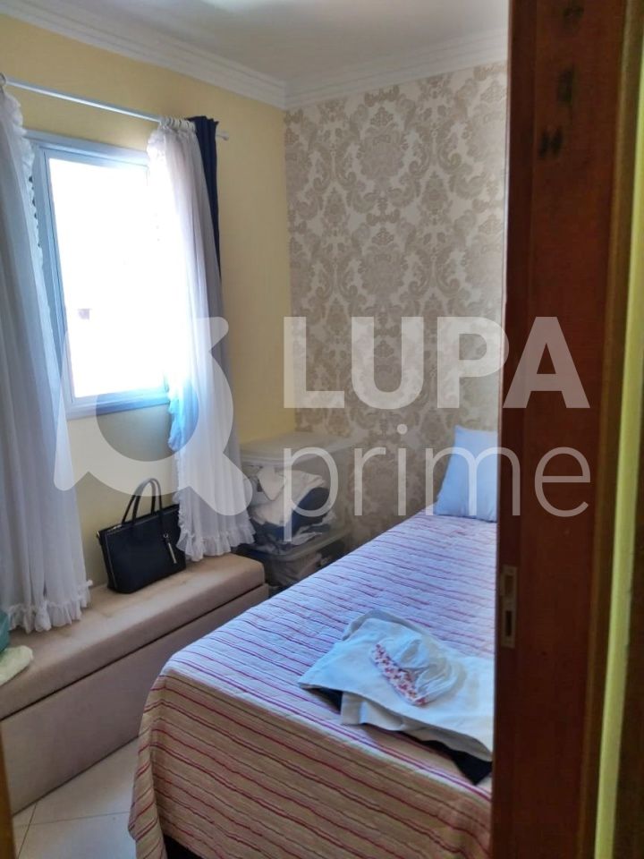 casa-terrea-venda-sao-paulo-tucuruvi-3dormitorios-2suites-2vagas-180m2-LM19884