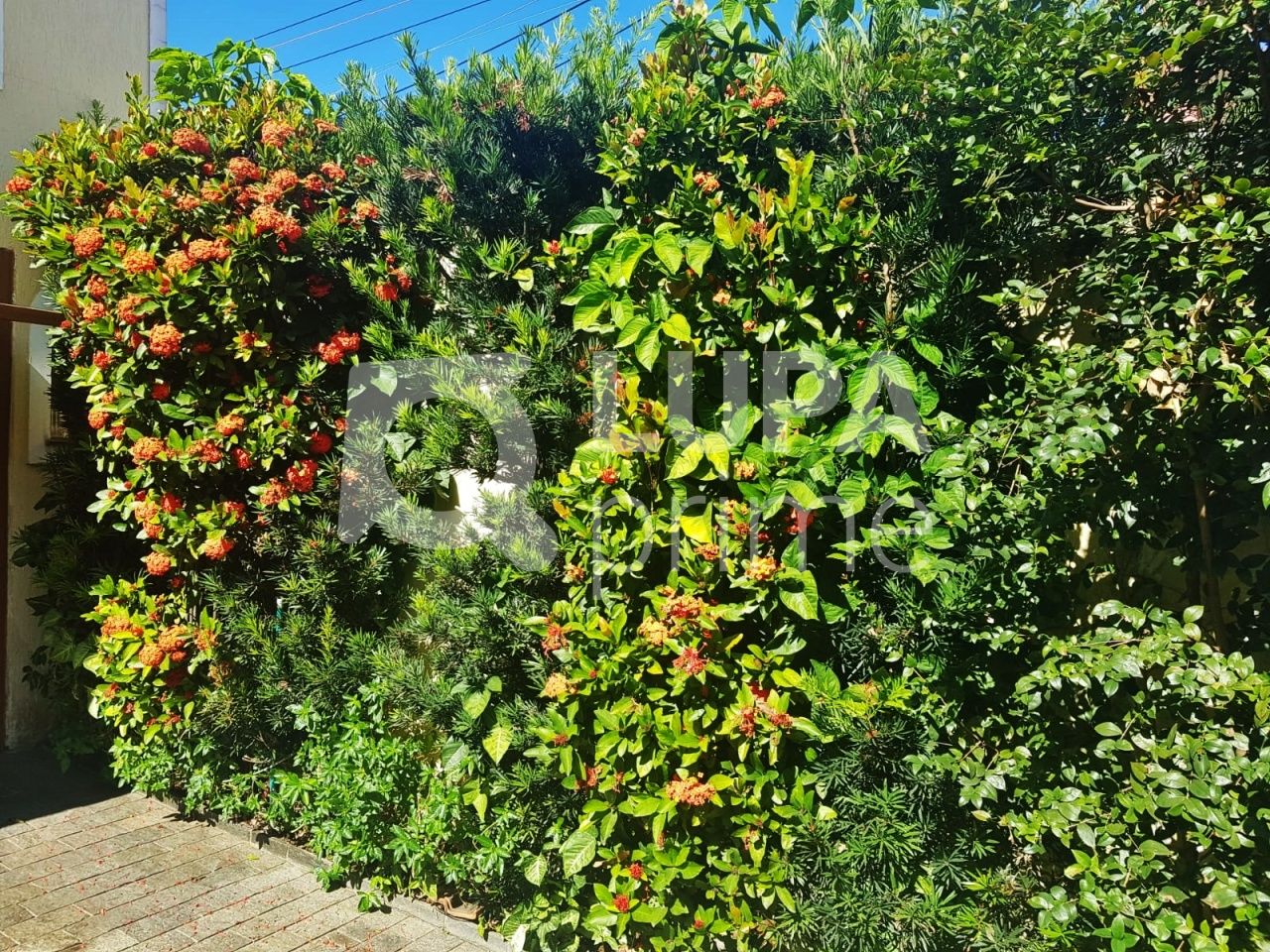 sobrado-venda-sao-paulo-vila-guilherme-3dormitorios-1suite-5vagas-220m2-LM20105