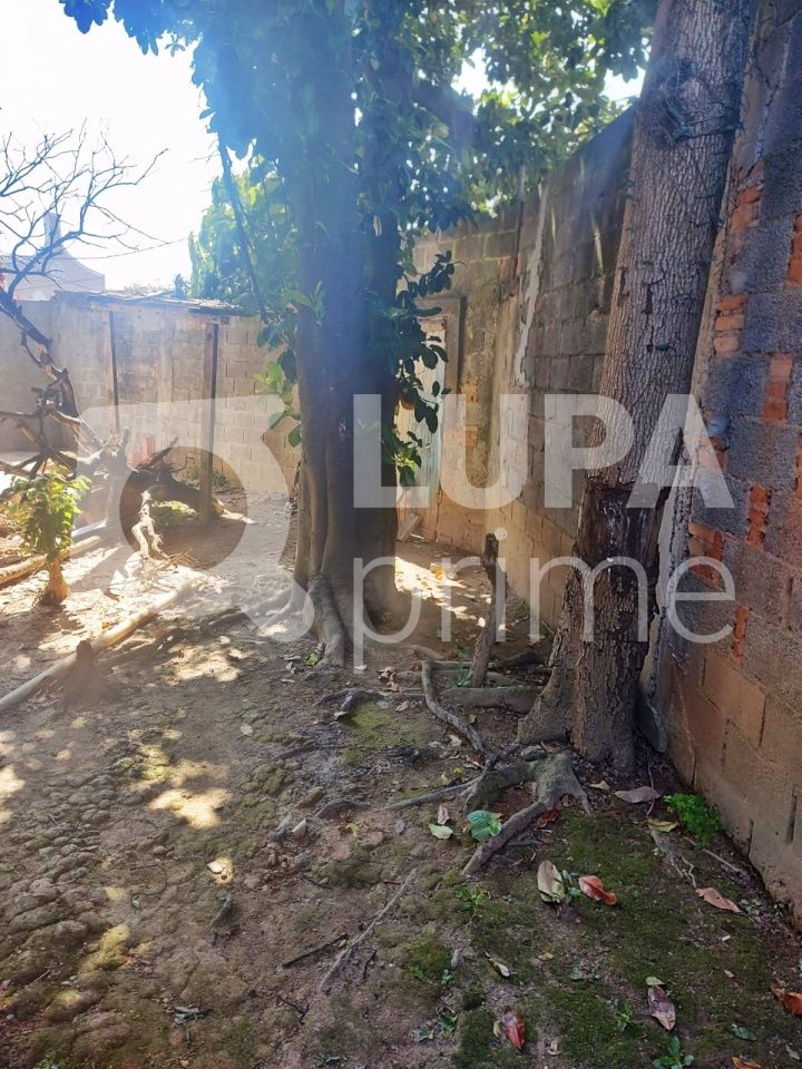 sobrado-venda-sao-paulo-vila-nova-galvao-3dormitorios-6vagas-250m2-LM20326