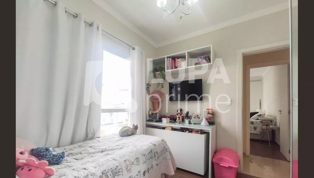 sobrado-venda-sao-paulo-vila-isolina-mazzei-3dormitorios-3suites-5vagas-160m2-LM20390