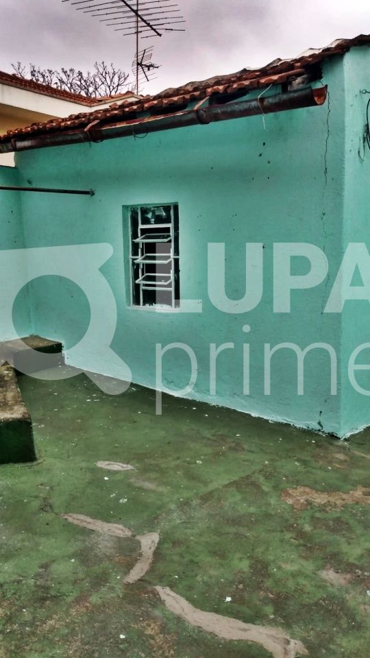 casa-terrea-locacao-sao-paulo-vila-maria-alta-1dormitorio-35m2-LM20808